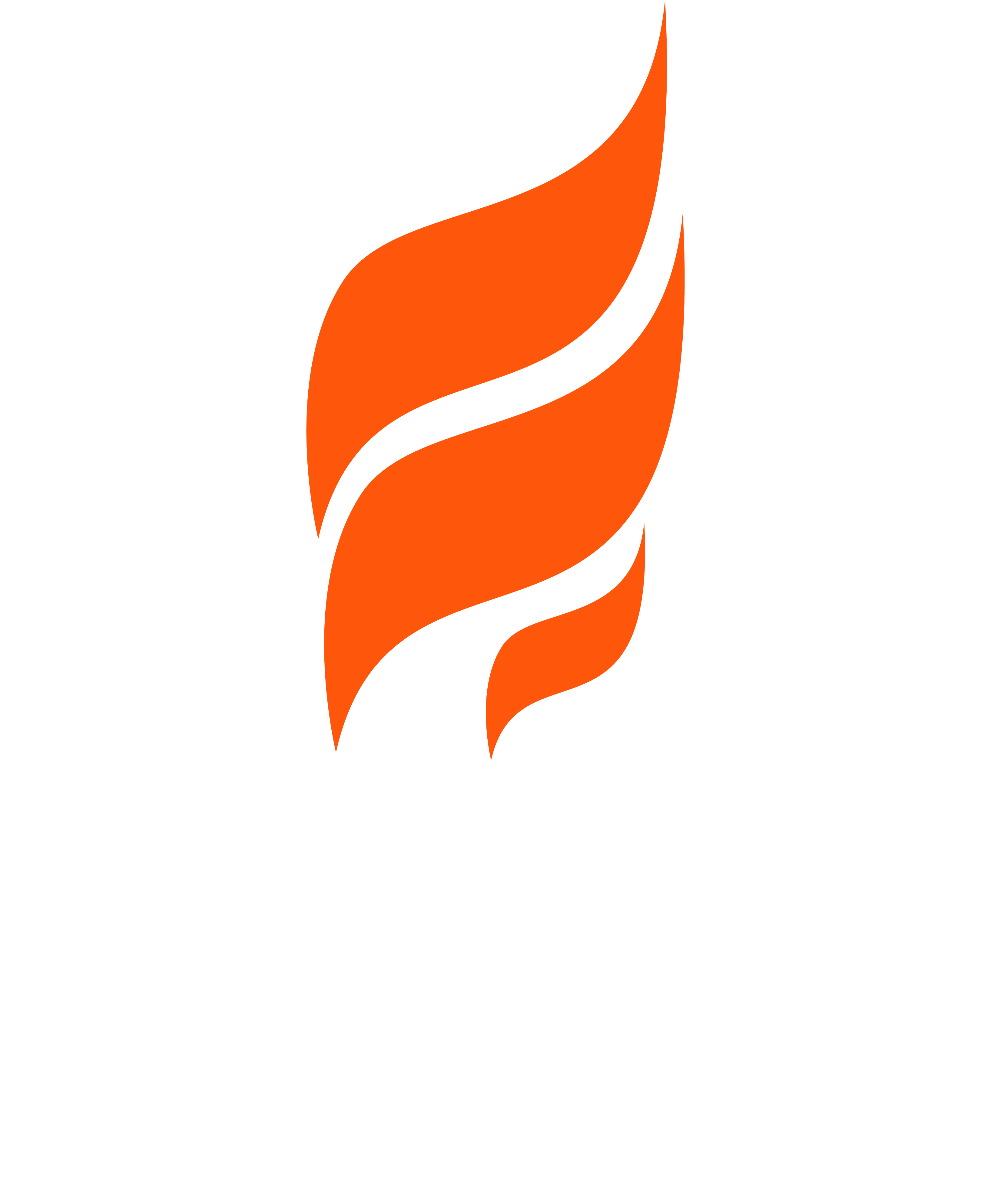 NARKS ENERGY